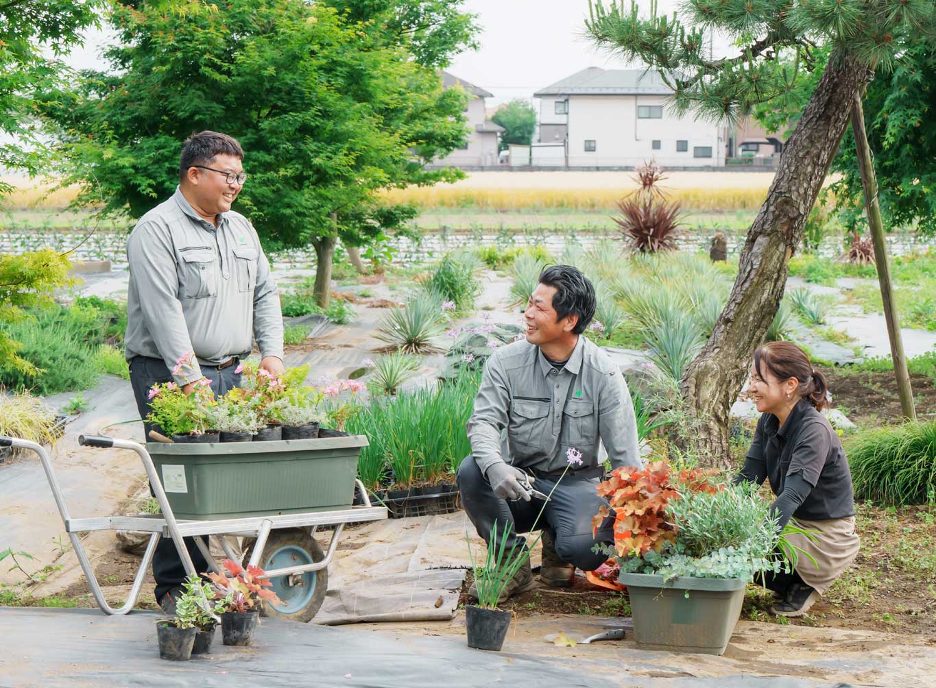 川島植物園について