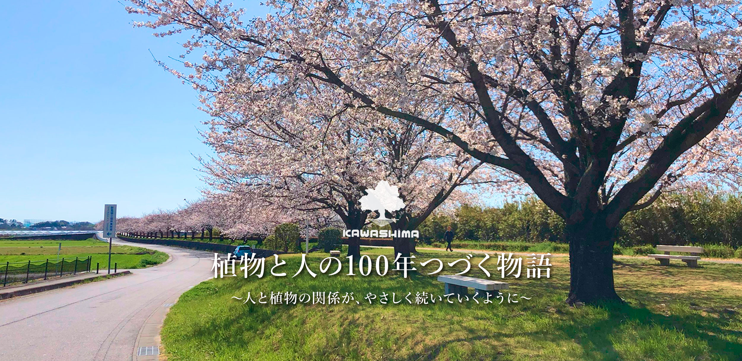 有限会社川島植物園 植物と人の100年つづく物語