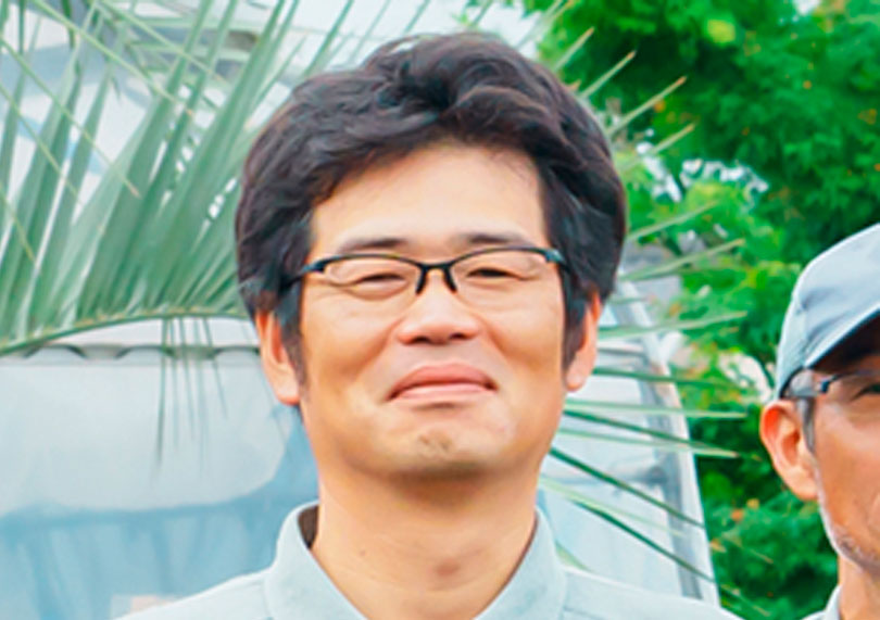 アガベ